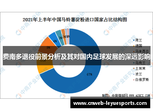 费南多退役前景分析及其对国内足球发展的深远影响