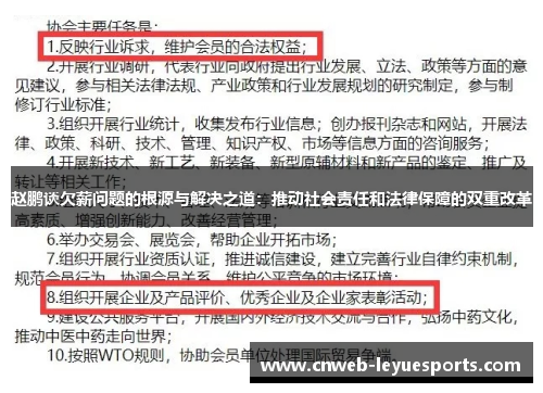 赵鹏谈欠薪问题的根源与解决之道：推动社会责任和法律保障的双重改革