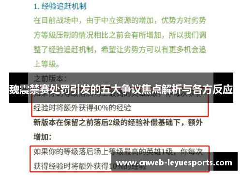 魏震禁赛处罚引发的五大争议焦点解析与各方反应